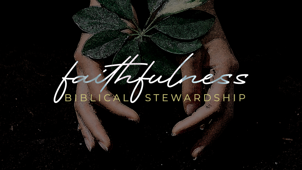 Stewardship in the Real World