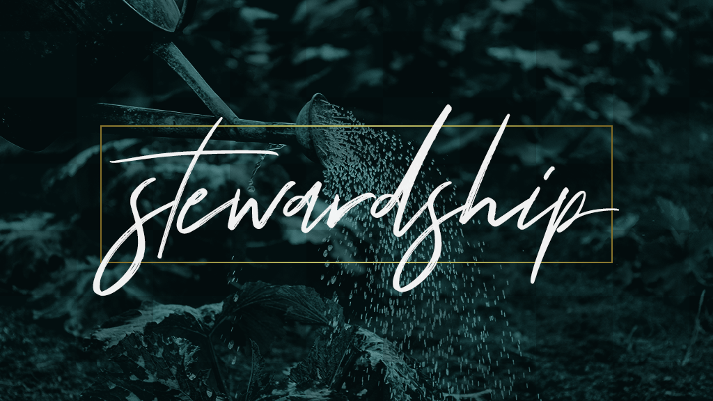 Stewardship and Money